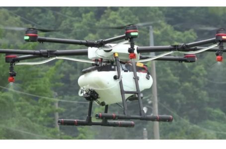 Une gestion intelligente des plantations par les drones