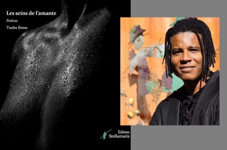 Diaspora/ “Les Seins de l’amante” du Camerounais Timba Bema, remporte le Grand Prix Littéraire d’Afrique Noire