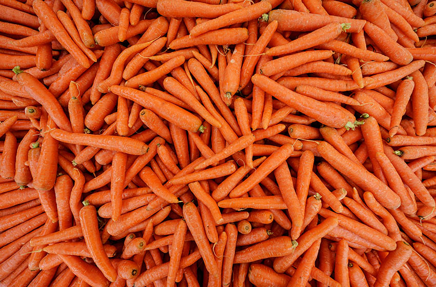 La Carotte Un Legume Aux Multiples Vertus Myafricainfos