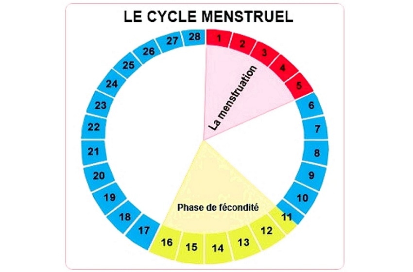 cycle menstruel_MyAfricaInfos