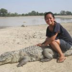 Bazoule_crocrodiles_sacrés_myafricainfos