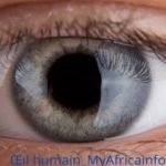 Œil_humain_MyAfricaIfos
